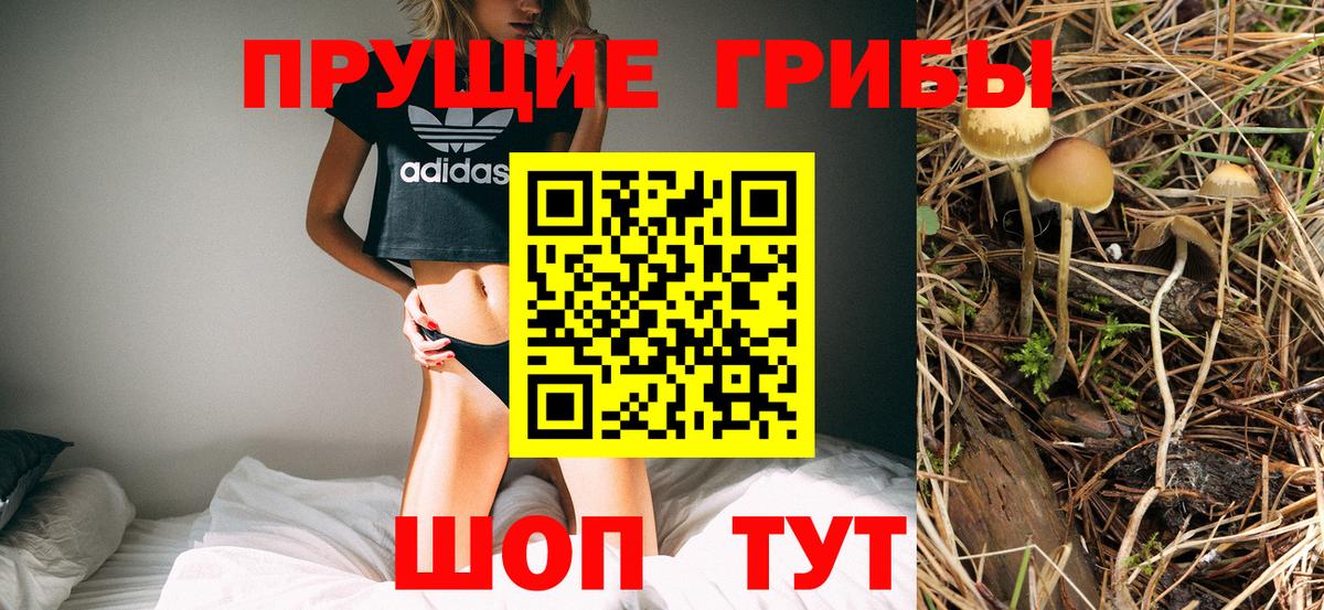 Псилоцибиновые грибы Psilocybine cubensis Кропоткин