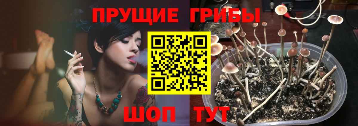 Галлюциногенные грибы Cubensis  Вход с VPN  Псилоцибиновые грибы прущие грибы  Кропоткин 